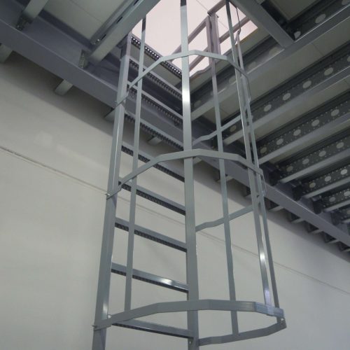 Cage Ladder