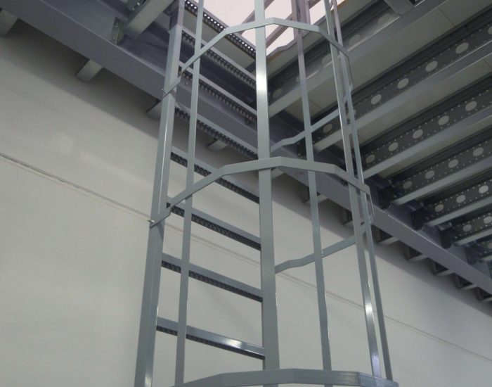 Cage Ladder